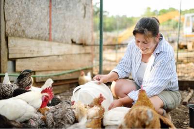 Une femme prend soin de ses poules.
