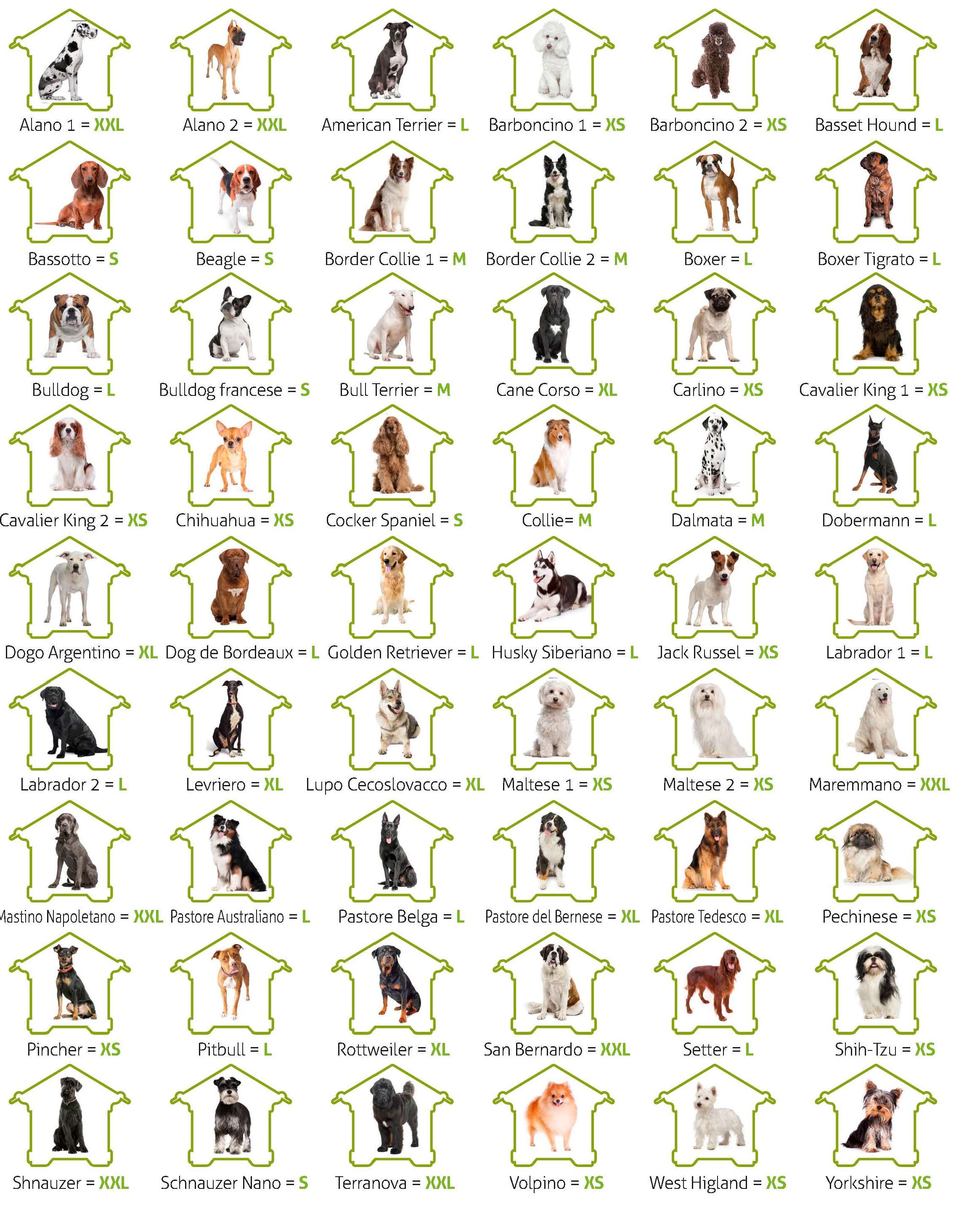 niche taille chiens.jpg