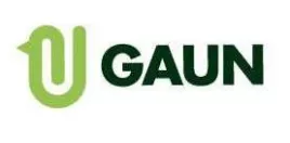 Gaun