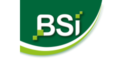 BSI